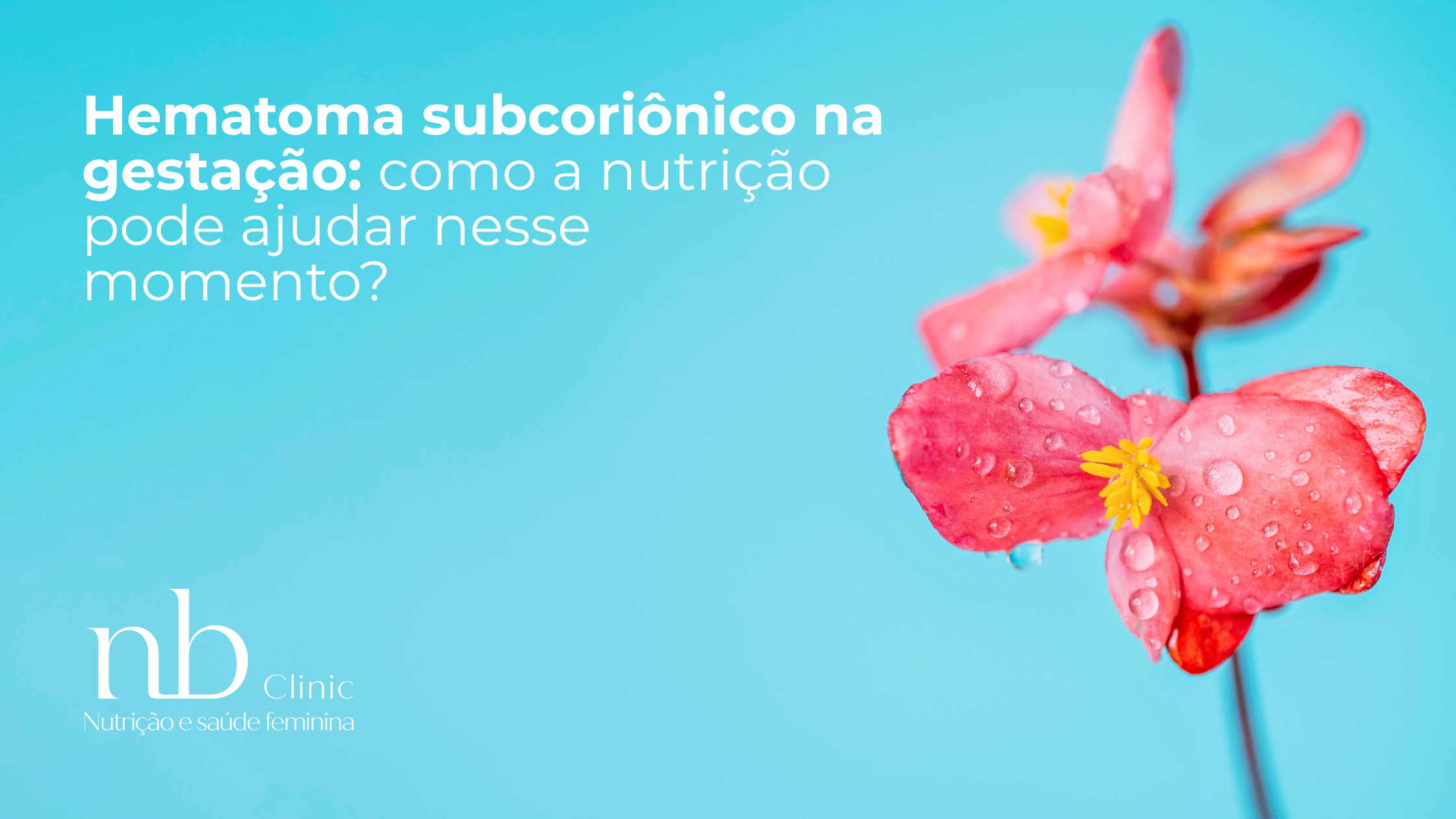 Leia mais sobre o artigo Hematoma subcoriônico na gestação: como a nutrição pode ajudar nesse momento?